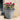 SG Traders Bell Quilt Plant Pots (Pack of 2) - SGTraders