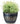 SG Traders Large Round Plastic Barrel Tub Planter - SGTraders