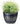 SG Traders Large Round Plastic Barrel Tub Planter - SGTraders