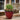 SG Traders™ Savannah plant pots (Pack of 2) - SGTraders