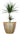 SG Traders β’ Cromarty Plant Pot 30, 36, 40m (pack of 2) - SGTraders