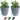 SG Traders Nantucket Plant Pot (Pack of 2) - SGTraders