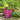 SG Traders™ Savannah plant pots (Pack of 2) - SGTraders
