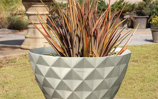 Geometric patterned gray planter with tall reddish and green foliage on outdoor concrete surface