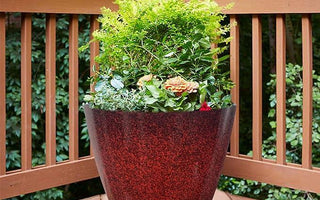 Large red speckled planter with green shrubs and flowers on a wooden deck balcony