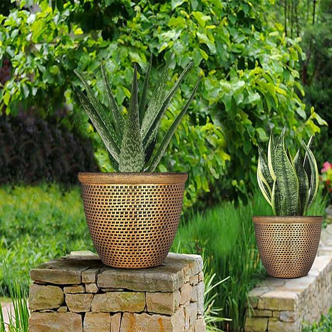 Transform Your Outdoor Space with SG Traders Cromarty Plant Pots: A Comprehensive Guide - SGTraders