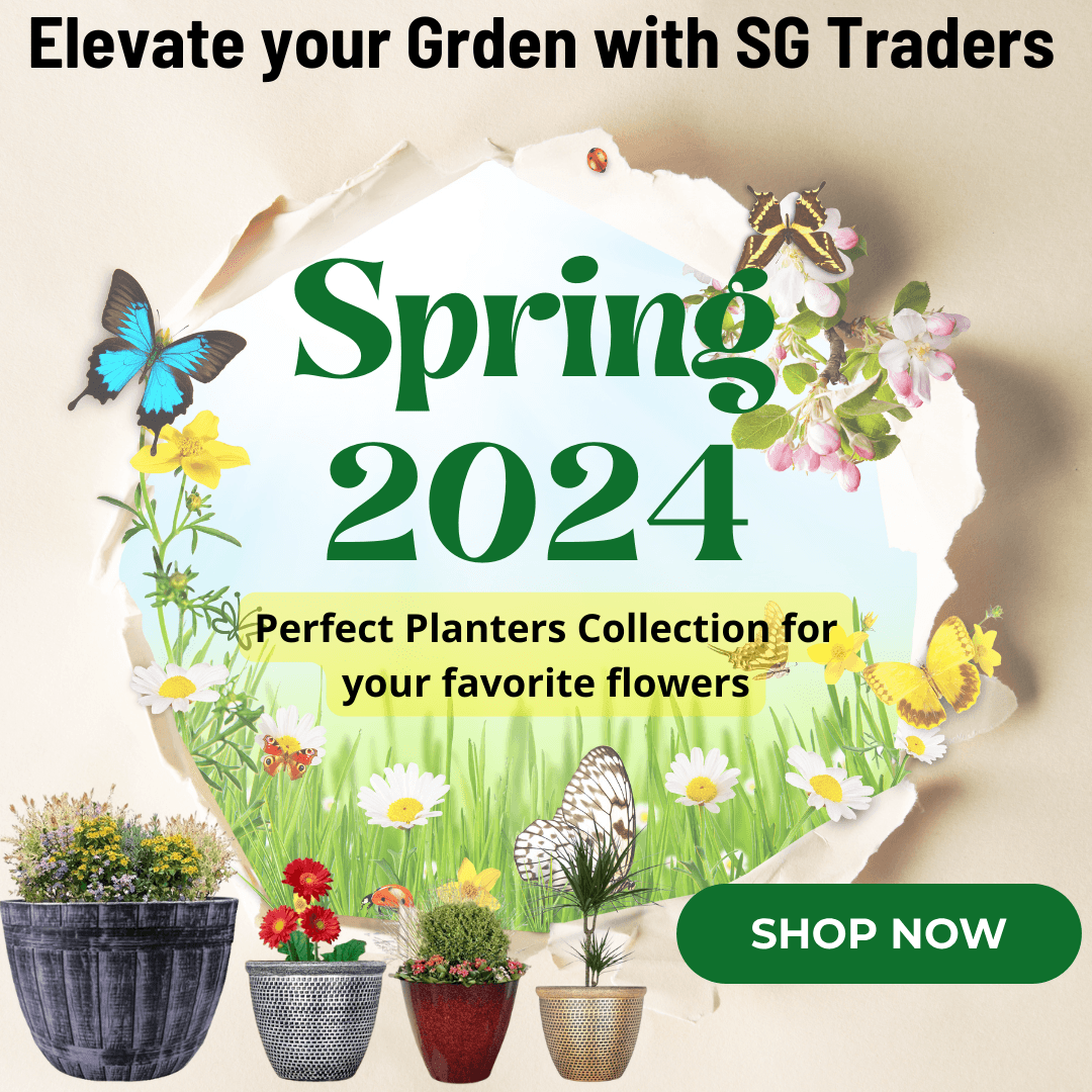 Spring 2024 planter collection ad with flowers, butterflies, and shop now button by SG Traders