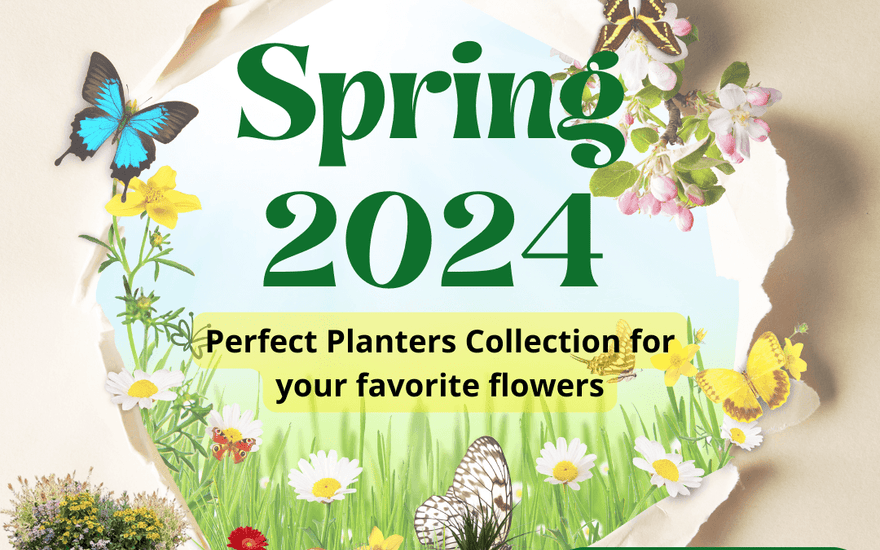 Spring 2024 planter collection ad with flowers, butterflies, and shop now button by SG Traders