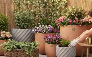 Woman gardening on patio with various potted flowering and leafy plants in decorative planters