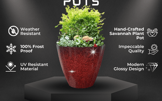 Elevate Your Garden with SG Traders™ Savannah Plant Pots! - SGTraders