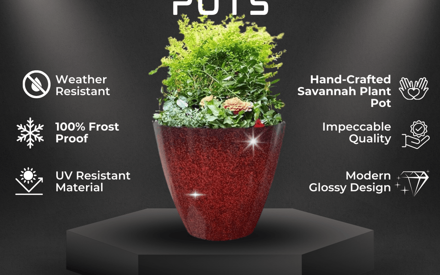 Elevate Your Garden with SG Traders™ Savannah Plant Pots! - SGTraders