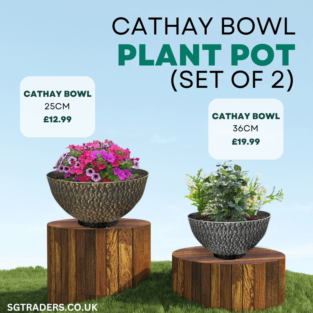 Set of two Cathay bowl plant pots with flowers, 25cm priced £12.99 and 36cm priced £19.99 on wooden stands