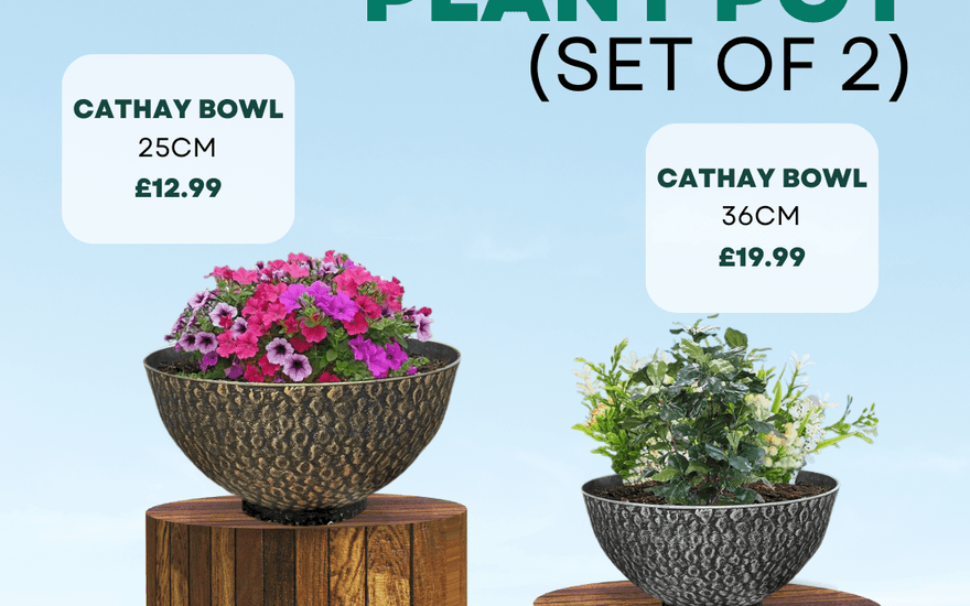 Set of two Cathay bowl plant pots with flowers, 25cm priced £12.99 and 36cm priced £19.99 on wooden stands