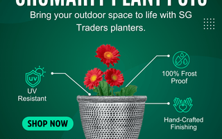 Why SG Traders Cromarty Plant Pots are Best for Home Gardens? - SGTraders