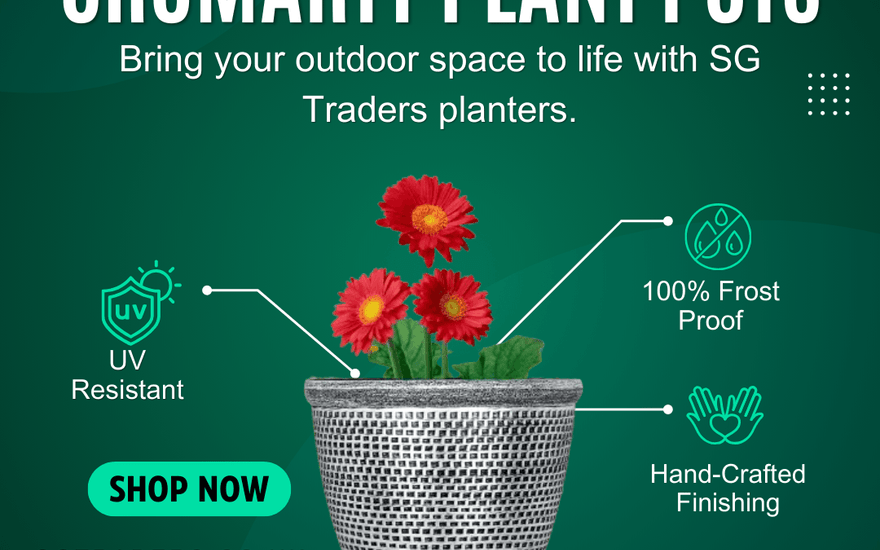 Why SG Traders Cromarty Plant Pots are Best for Home Gardens? - SGTraders