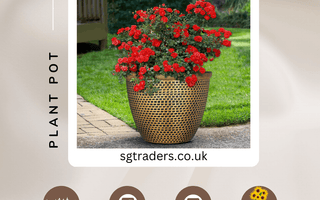 Elevate Your Outdoor Space with SG Traders™ Cromarty Plant Pot! - SGTraders