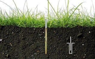 Underground spike installed in soil beneath green grass to prevent rotary movement in heavy winds