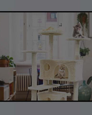 Cat Tree - - 