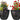 SG Traders™ Chengdu Plant Pots (pack of 2)  -  planter  -  