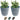 SG Traders Nantucket Garden Pot (Pack of 2)  -  planter  -  