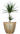 SG Traders ™ Cromarty Plant Pot 30, 36, 40m (pack of 2)  -  planter  -  