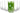 SG Traders ™ 6-Piece Crystal Glass Set - - 