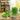 SG Traders ™ 6-Piece Crystal Glass Set - - 
