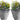 SG Traders Bell Quilt Plant Pots (Pack of 2) - - 