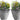 SG Traders Bell Quilt Plant Pots (Pack of 2) - SGTraders