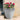 SG Traders Bell Quilt Plant Pots (Pack of 2) - - 