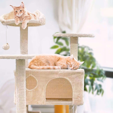 SG Traders™ Cat Tree Parent - - 