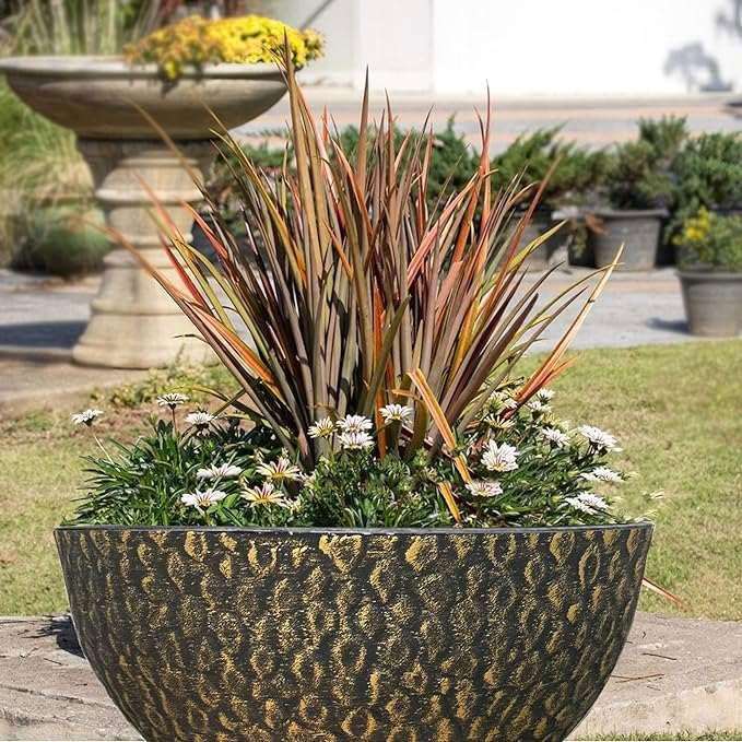 SG Traders Cathay Bowl Plant Pot (Set of 2) - - 