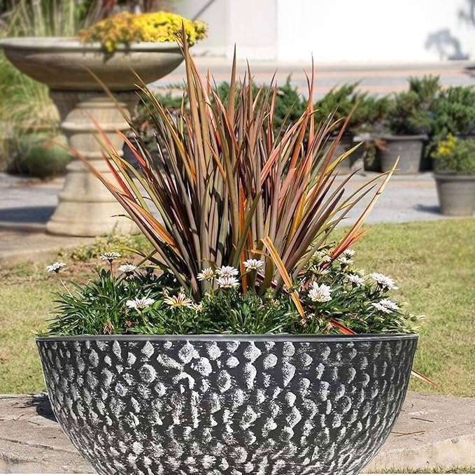 SG Traders Cathay Bowl Plant Pot (Set of 2) - - 