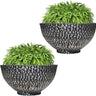 SG Traders Cathay Bowl Plant Pot (Set of 2) - - 