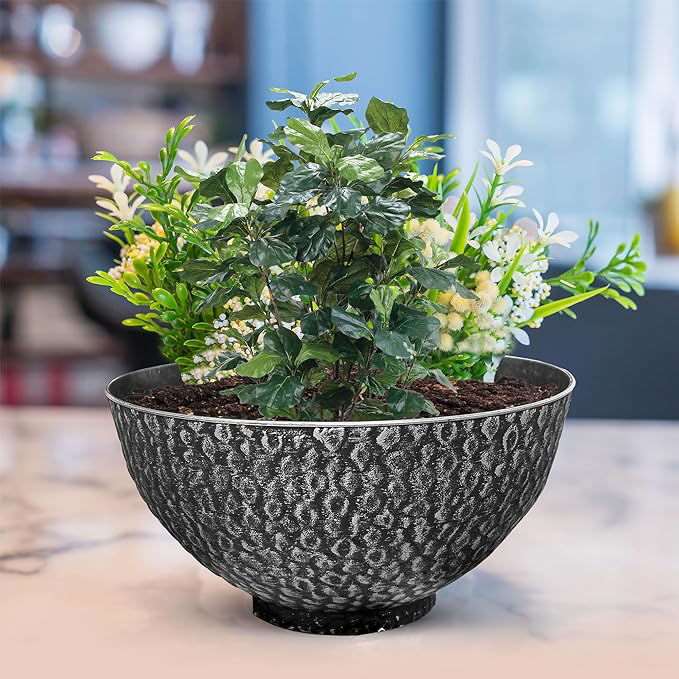 SG Traders Cathay Bowl Plant Pot (Set of 2) - - 