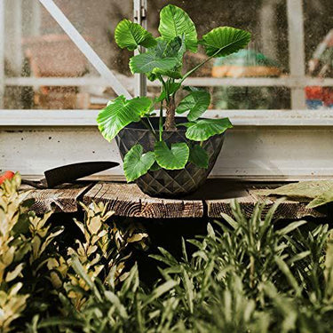 SG Traders™  Diamond Cut Planters - - 