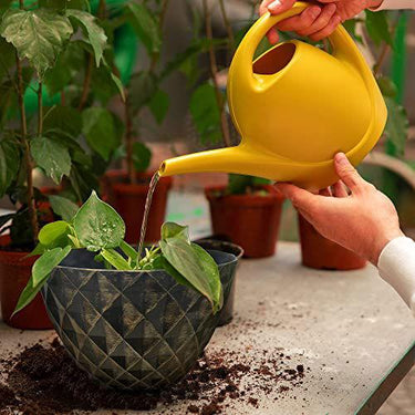 SG Traders™  Diamond Cut Planters - - 