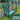 SG Traders Garden Kneeler - - 