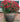 SG Traders™ Large Barrel Planter - - 