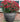 SG Traders™ Large Barrel Planter - - 