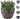 SG Traders™ Large Barrel Planter - - 