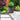 SG Traders™ Large Barrel Planter - - 