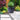 SG Traders™ Large Barrel Planter - - 