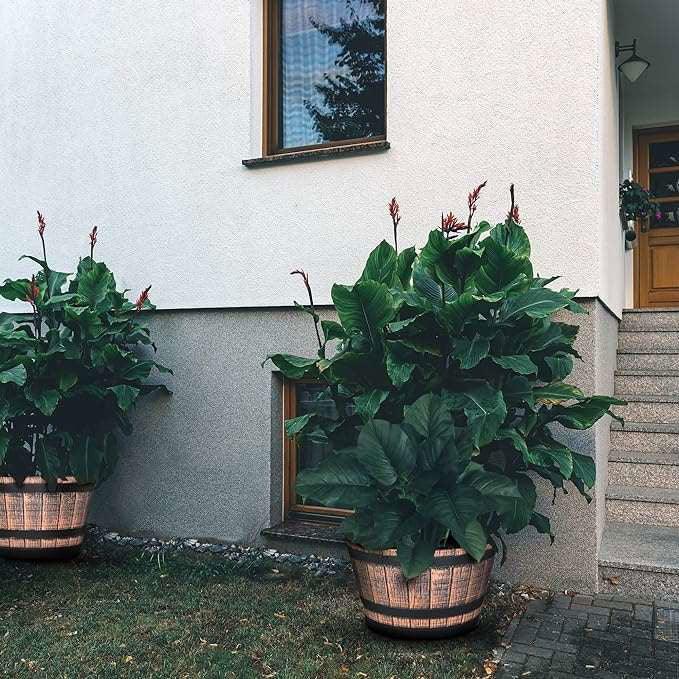 SG Traders™ Large Half Barrel Cask Planter - - 