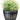 SG Traders Large Round Plastic Barrel Tub Planter - SGTraders