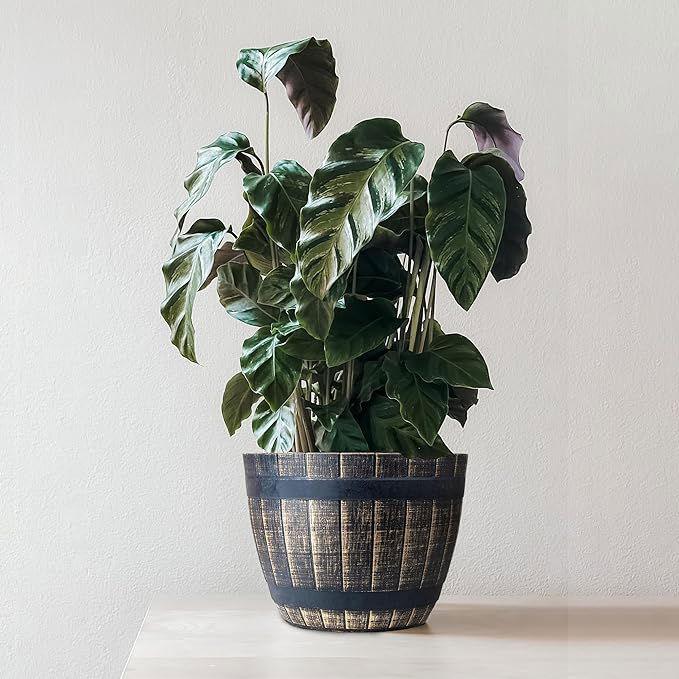 SG Traders Large Round Plastic Barrel Tub Planter - - 