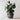 SG Traders Large Round Plastic Barrel Tub Planter - - 