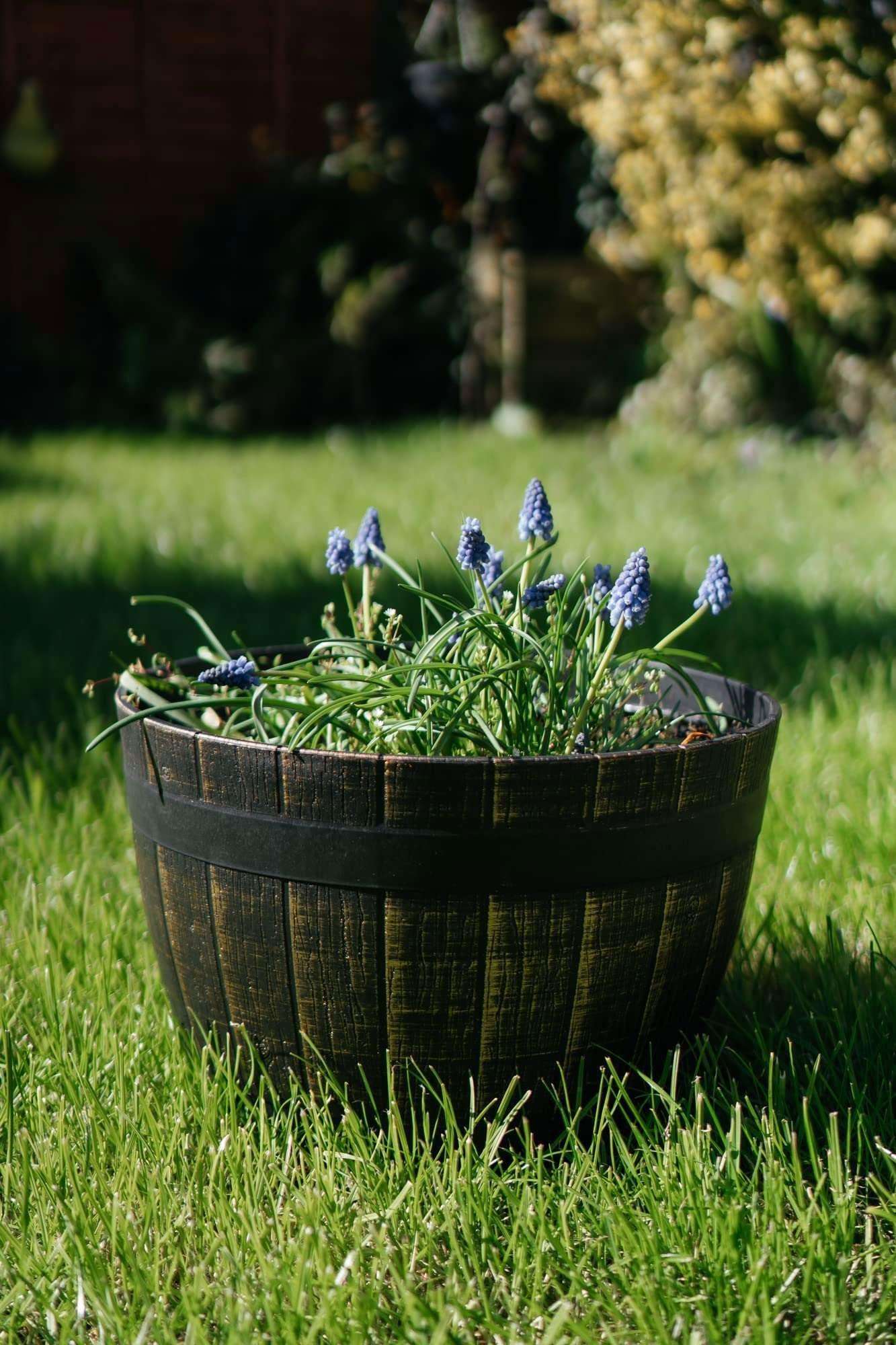 SG Traders Large Round Plastic Barrel Tub Planter - - 