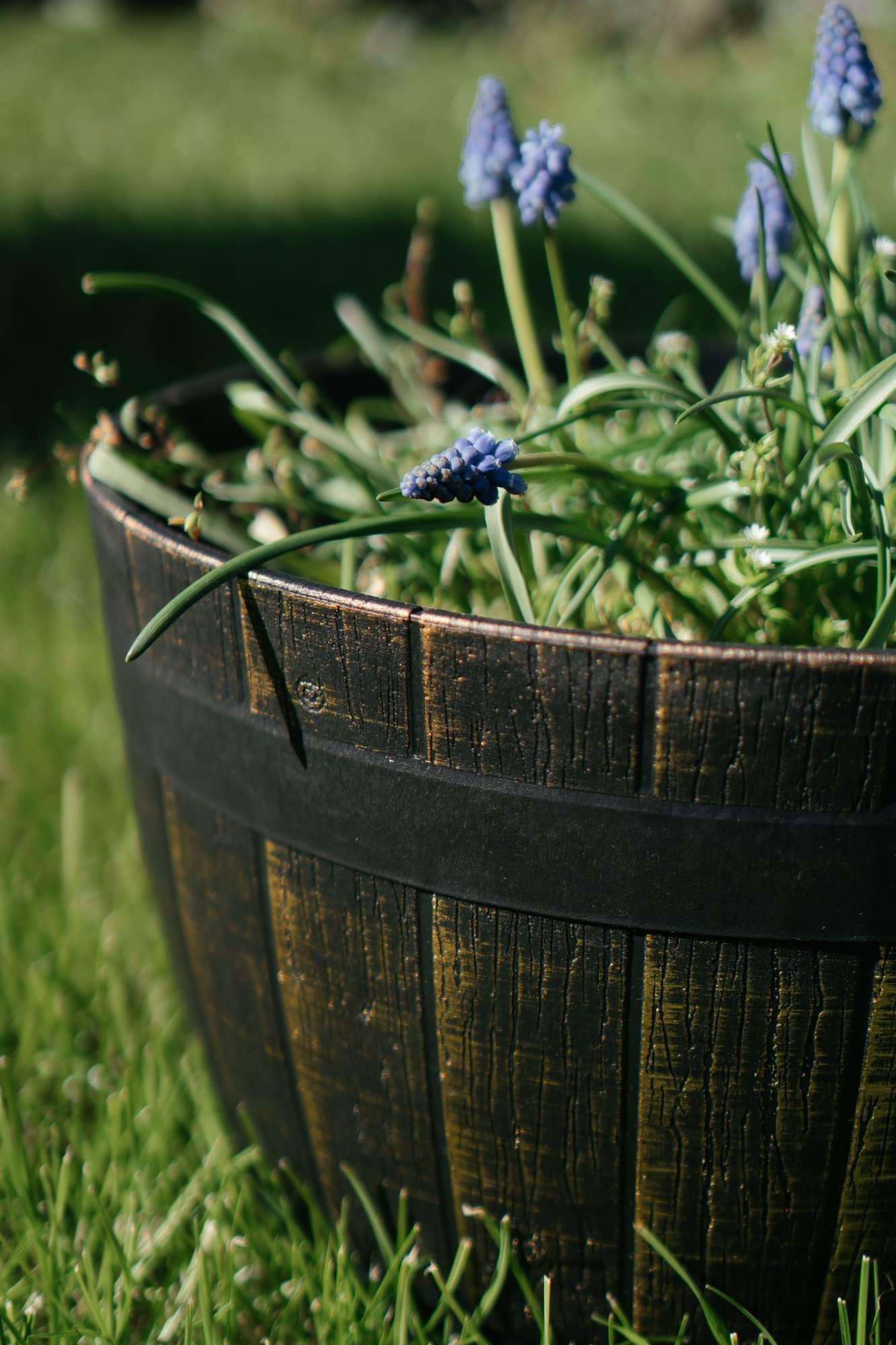 SG Traders Large Round Plastic Barrel Tub Planter - - 