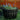 SG Traders Large Round Plastic Barrel Tub Planter - - 